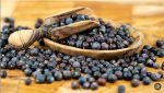 جونیپر